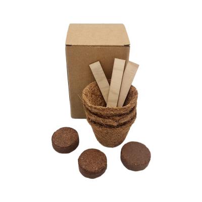 China Modern Coconut Coir Pots Growing Kit Biodegradable Plant Flowers Mini Seed Starter Coconut Pot Kits for sale