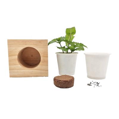 China Herb Garden Starter Indoor Wooden Flower Pot Bonsai Plant Easy Wooden Degradable Pot Seedling Kit for sale