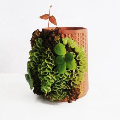 China Terracotta Self Watering Planter Terracotta Honeycomb Self Watering Planter Eco-friendly Flower Plant Terracotta Watering Planter for sale