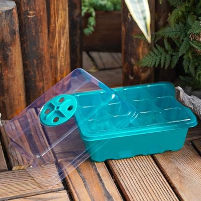 China Eco-Friendly Seedling Starter Tray Propagator Kit Germination Tray Adjustable Dome Lids Greenhouse Grow Trays For Plant Seed Breeding for sale