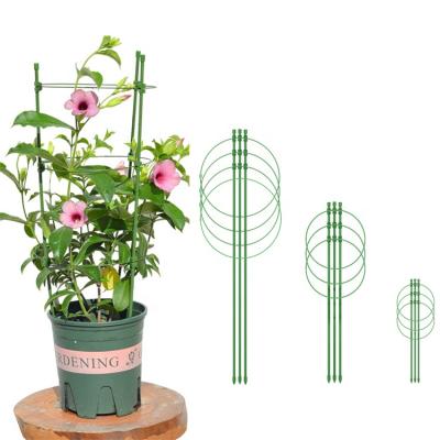 China 3 Ring Garden Plant Support Eco-Friendly Sustainable Garden Flower Climbing Support Plants Circles Support Bamboo for sale