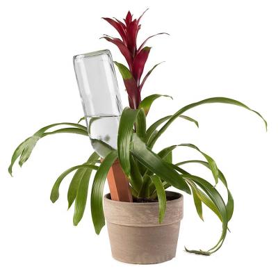 China Easy Installation Automatic Terracotta Holiday Plant Self Watering Spikes for sale