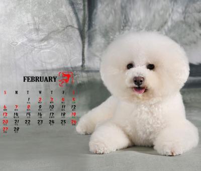 China Animal Calendar Printing, Kraft paper calendar, pop up calendar supplier, Beijing Printing company for sale