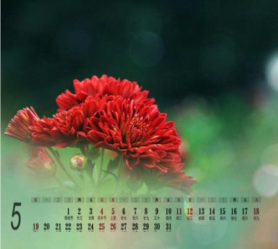 China Custom design desktop calendar. 2018 wall calendar,CMYK full color printing calendar, OEM printing calendar for sale