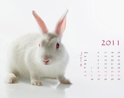 China 2018 OEM wall calendar printing, animal calendar printing, company catalog calendar printing for sale