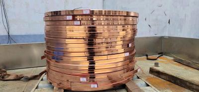 Cina Il rame di piatto di Tin Plated Copper Clad Steel ha ricoperto Rod a terra d'acciaio in vendita