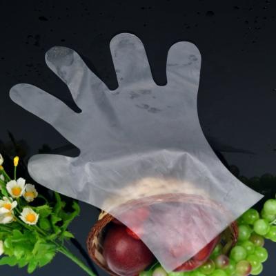 China Plain Or Microgroove Daily Consumable Items Cooking Transparent Clean Food Hands Gloves for sale