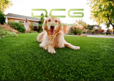 China UV Resistant Dog Pet Friendly Artificial Turf 4 Color With Simple Installation for sale