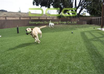 China Dog Friendly Artificial Grass For Pets Anti UV Excellent Water Permeability for sale