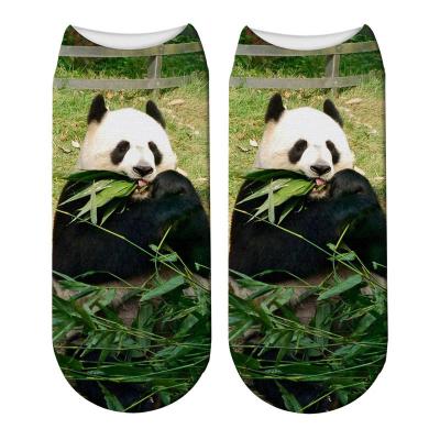 China Panda Custom Digital Print Cotton Sporty Women Men's Unisex Cute Crew Ankle Boat Socks for sale