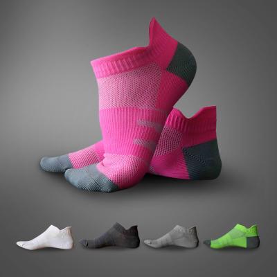 China Women's QUICK DRY Ankle Cotton Breathable Sport Ankle Socks Low Cut Color Mesh Socks Set Ball Running Socks for sale