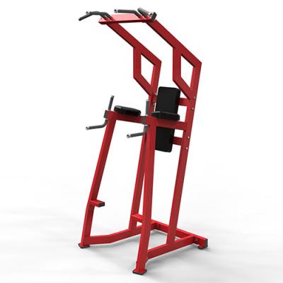 China Commercial Use Hammer Strength Gym Equipment Chin Up Dip Up Fitness Machine for sale