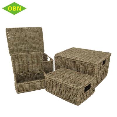 China Eco Friendly Sustainable Set 4 Rectangular Vegetable Plankton Woven Storage Basket With Lid for sale