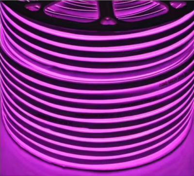 China hotel smd2835 smd5050 large size high brightness project decoration pvc led flex neon tube for sale