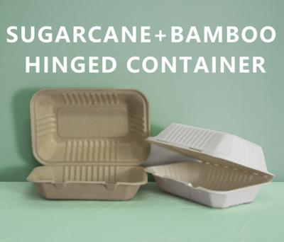 China Wholesale Disposable Sugar Cane Bagasse Collapsible Collapsible Box For Fast Food for sale