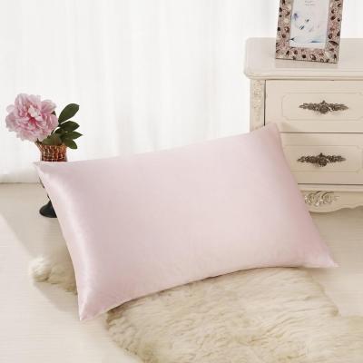 China Non-Toxic Mulberry Silk 22 momme 100% Luxury Silk Pillow Case With Envelope for sale