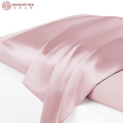 China Pillow Cover 100% Pure Silk Mulberry Silk Pillow Case Non-Toxic Super Soft 19mm/22mm/25mm for sale