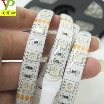 China Affordable LANDSCAPE 5050 RGB Led Strip for sale