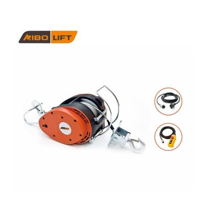 China Electric Control Winch AC 220-240V 50/60HZ Pendant Hotels 250kg Suspending Electric Winch Hoist for sale