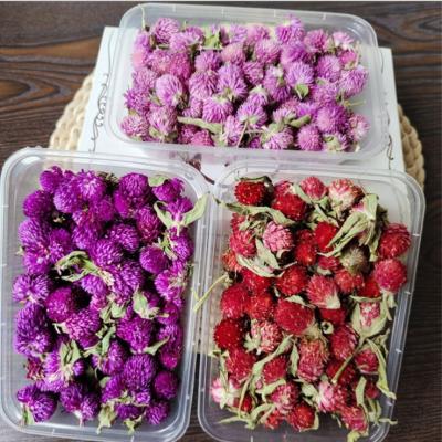 China Wholesale raw materials amarantus strawberry flower fruit shell dry flower true natural flower monk red head fruit for sale