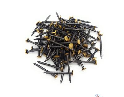 China Picture Round Hook Accessory Black Brass Plated Fasteners Copper Head Nails for sale