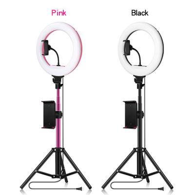 China Hot Sales Fashionable 240 Lamp Bead 20W LED Ring Light For Diameter 23cm / Live Stream Youtube Video Inner Outer Diameter 33cm for sale