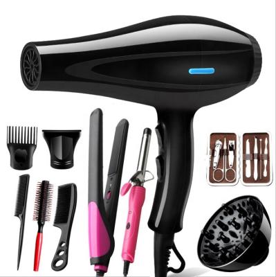 China Household Ionic Hotel Use Electric Blow Dryer Personal Hair Styling Tool Home Hair Dryer for sale