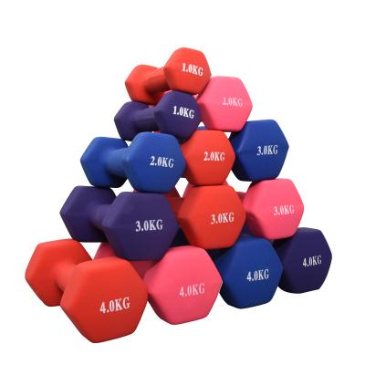 China Wholesale Cheap Convenient Factory Gym Weight Gym Equipment Fitness Dumbbell Set for sale