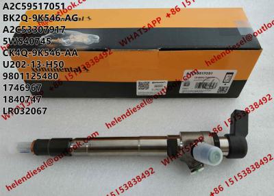 Cina Genuine New Continental Diesel Injector A2C59517051, BK2Q-9K546-AG for Citroen, Ford, Land Rover, Peugeot U202-13-H50 in vendita