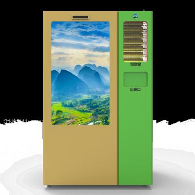 China Os no espeto aqueceram continuamente a máquina de venda automática refrigerada no espeto à venda