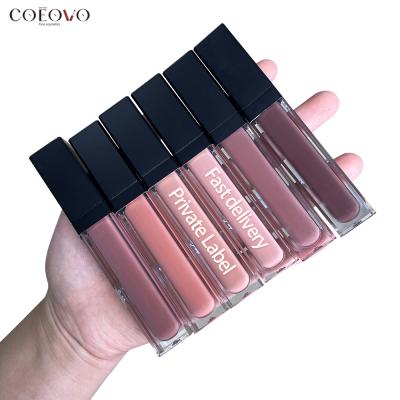 China COEOVO Waterproof Lip Gloss Make Your Own Lipstick Liquid Matte Lipstick Liquid Lipstick Lip Gloss for sale