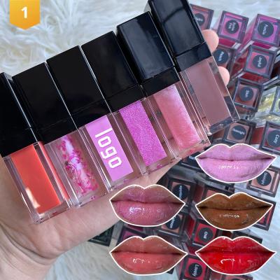 China Nude Lip Gloss Vegan OEM Lip Gloss Private Label Lip Gloss Vendor Clear Liquid Matte Cream Lip Gloss Base Waterproof for sale