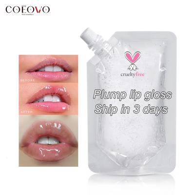 China Waterproof Plump Your Lip Up Gloss Dropping Clear Vegan Lip Gloss Foundation Lip Gloss for sale