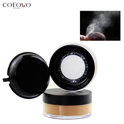 China Waterproof Waterproof Loose Setting 9 Colors Setting Powder Private Label Powder Private Label Powder Private Label Powder for sale