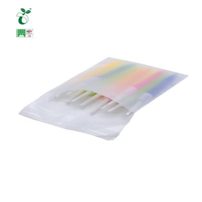 China Eco Friendly Zip Lock Bag Small Pill Raw Material Virgin Biodegradable Plastic Resealable Zipper Zipper Zip Lock Bag for sale