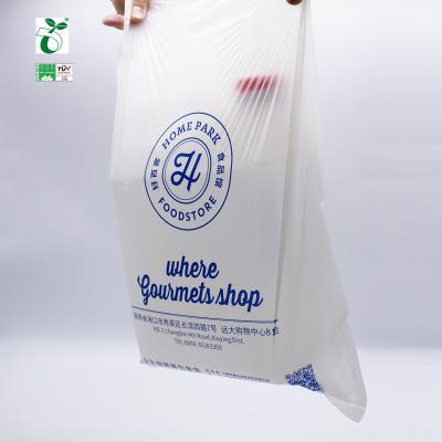 China BIODEGRADABLE Super Food Bag Customizable Color Flat Bag OEM Glue Compostable Plastic Packaging Biodegradable Bag for sale