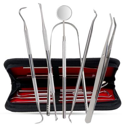 China 6PCS Oral Care Stainless Steel Dental Kit Adult Oral Hygiene Tools Set Dentist for sale