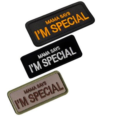 China Clothes Mom Accessory Says I Am Special Tactical Patches Symbol Badge Embroidered Hook And Loop Patch for sale