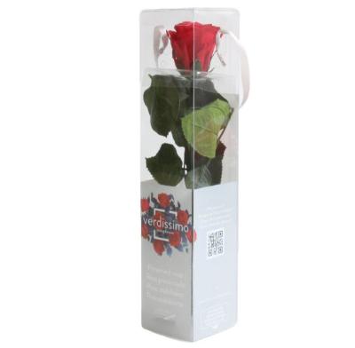 China Recycled Materials Luxury Clear Box With Lid Roses Box PVC Plastic Packaging For Signal Rose for sale