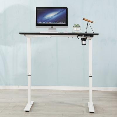 China (Height) Height Adjustable Electric Height Adjustable Desk Table Automatic Standing Standing Desk for sale