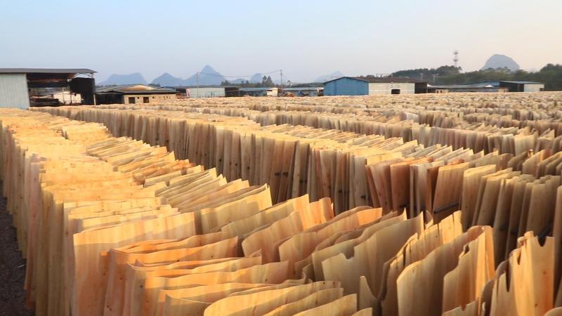 Verified China supplier - Nanning Hengxing Wood Industry Co., Ltd.