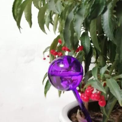 China Automatic watering watering device for sale