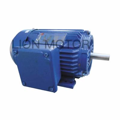 China Totally enclosed high quality durable isolated three phase asynchronous AC motor. for sale