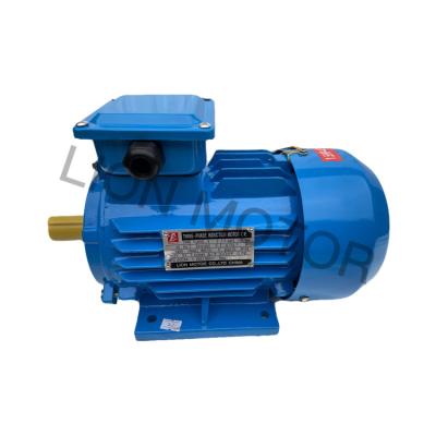 China IP54 / IP55 Y2 Series High Efficiency Three Phase AC Electric Motor For Power Tools for sale