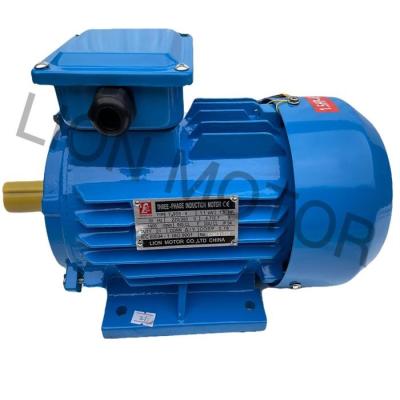 China Hot Sale Y2 IP54 / IP55 China Series Three Phase Induction AC Asynchronous Electric Motor With Cast Iron Housing for sale