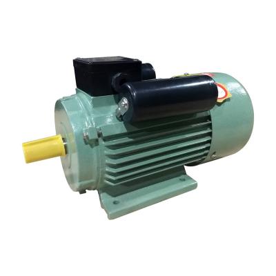 China IP44/IP54/5IP55 YC/YCL Series AC Asynchronous Motor Electric Motors Single Phase Induction Motors for sale