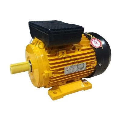 China Best Selling Standard IP44/IP54/IP55 Voltage Synchronous MY Series 1.1KW 1.5HP 1390RPM AC Motor On Other Machine for sale