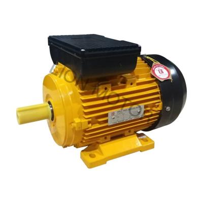 China Best Selling Standard IP44/IP54/IP55 Voltage Synchronous MY Series 0.75KW 1HP 1380RPM AC Motor On Other Machine for sale