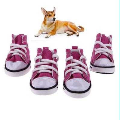 China Sustainable Wholesale Anti-Slip Sport Sneaker Casual Pet Shoes Denim Canvas Dog Shoes for sale