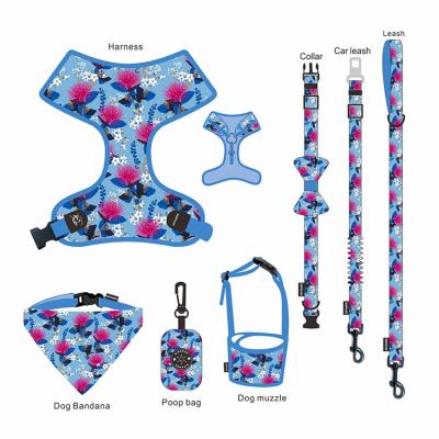 China Custom Designer DETACHED Reversible Vest Pet Harness No Pull Adjustable Dog Harness Leash Set for sale